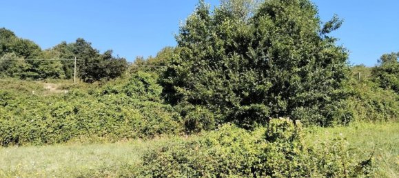 8 غرف نوم منزل في Varese Ligure, Italy رقم 362764 49