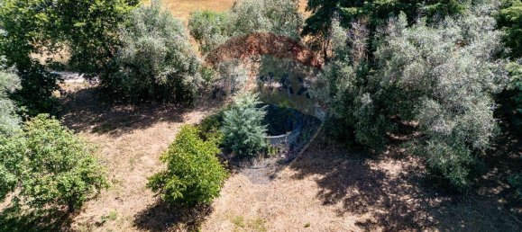 10 chambres Maison à Lousa, Portugal No. 166918 44