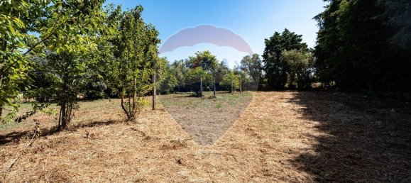 10 chambres Maison à Lousa, Portugal No. 166918 42