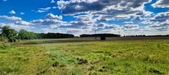 3 Schlafzimmer Bauernhof in Potsdam-Mittelmark, Germany, Nr. 72238 16