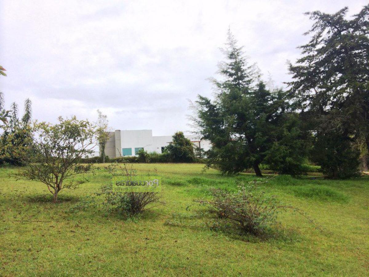 Terreno em Antioquia, Colombia N.º 589