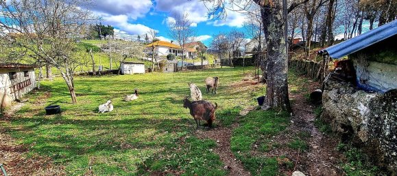 2 غرف نوم منزل في Vieira do Minho, Portugal رقم 167724 22