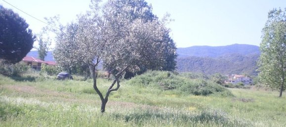 5015m² Hotel in Chalkidiki, Greece No. 8024 3