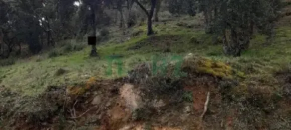 Terrain à Ourense, Spain 6516m² No. 140493 4