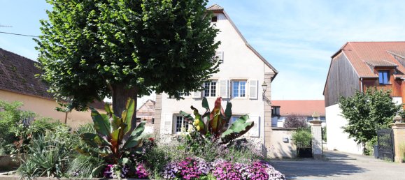 4 bedrooms House in Krautergersheim, France No. 243473 21