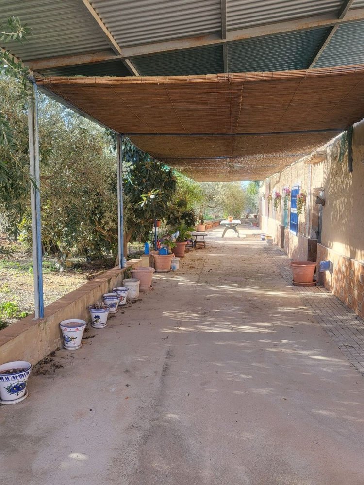 Casa de 6 dormitorios en Hellin, Spain No. 113954