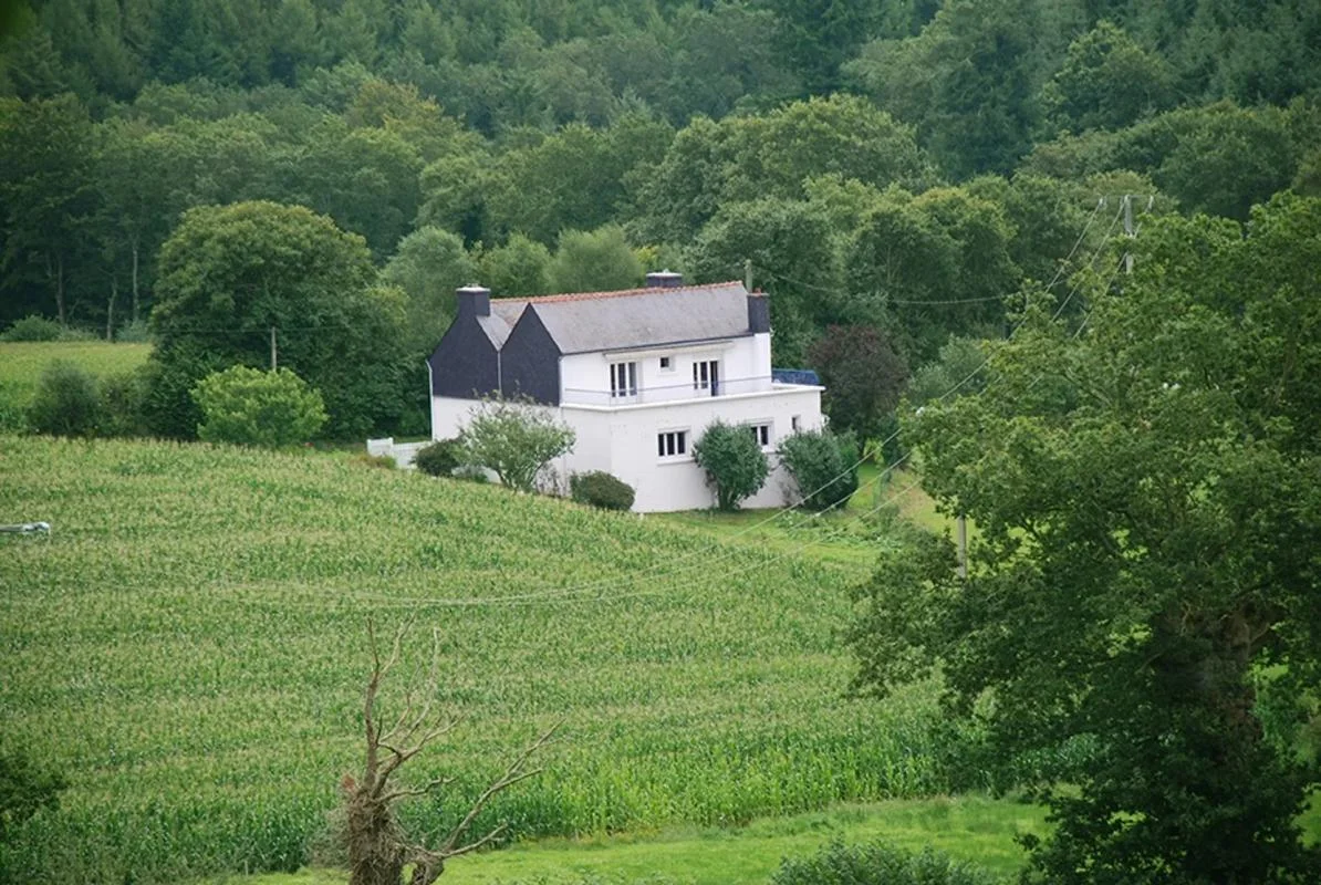 4 Schlafzimmer Haus in Guiscriff, France, Nr. 350532
