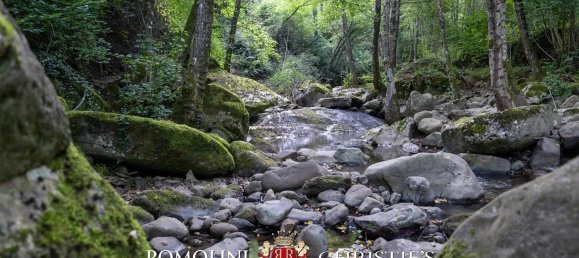 3 rooms House in Ortignano Raggiolo, Italy No. 216447 21