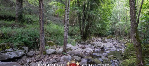 3 rooms House in Ortignano Raggiolo, Italy No. 216447 20