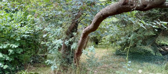 4 chambres Maison à Finistère, France No. 288798 20