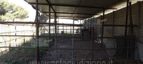 5 bedrooms Apartment in Montefiascone, Italy No. 322310 13