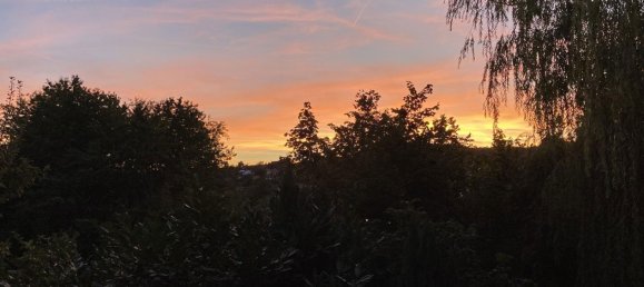 Таунхаус с 8 комнатами в Рейн-Неккар, Германия № 309758 8