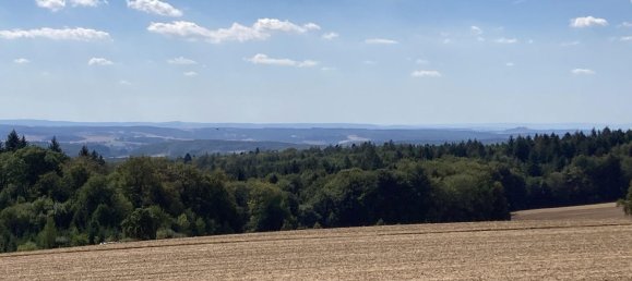 Таунхаус с 8 комнатами в Рейн-Неккар, Германия № 309758 9