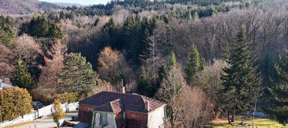 Terrain à Pressbaum, Austria No. 106685 8