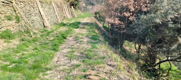 2 bedrooms House in Varazze, Italy No. 111992 25