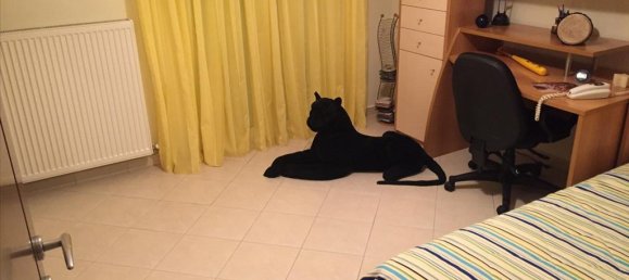 6 غرف نوم Property في Thermi, Greece رقم 5698 22