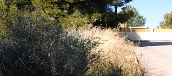  Land in Calpe, Spain No. 96464 3