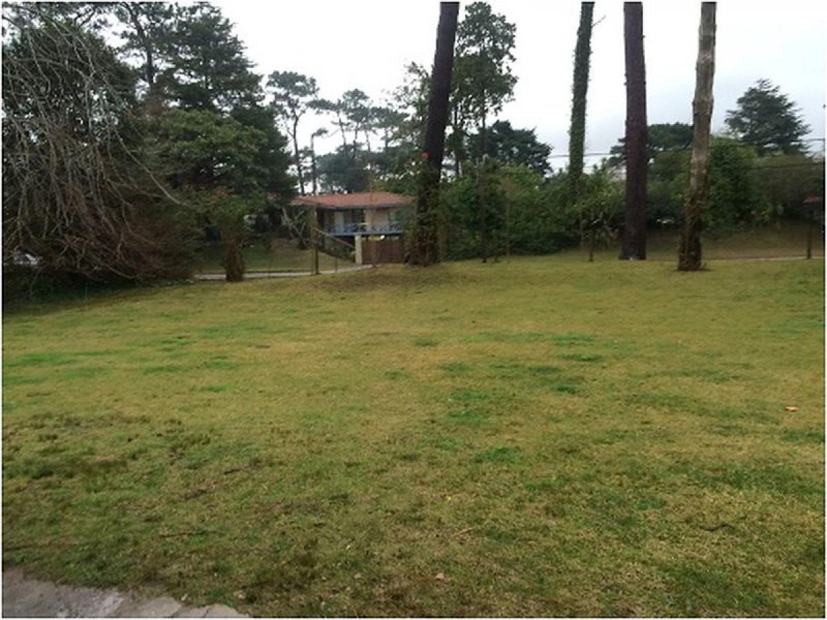 3 bedrooms House in Maldonado, Uruguay No. 11899