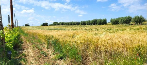 Terreno em Sant'Elpidio a Mare, Italy N.º 86036 4