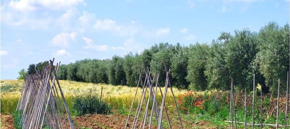 Terreno em Sant'Elpidio a Mare, Italy N.º 86036 5