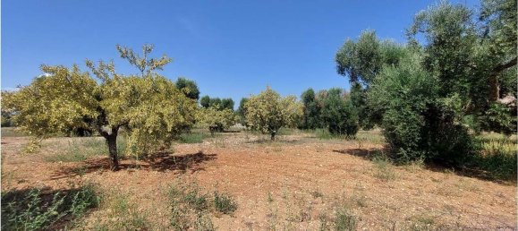 Terrain à San Vito dei Normanni, Italy 8000m² No. 107732 7