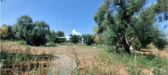 Terrain à San Vito dei Normanni, Italy 8000m² No. 107732 5