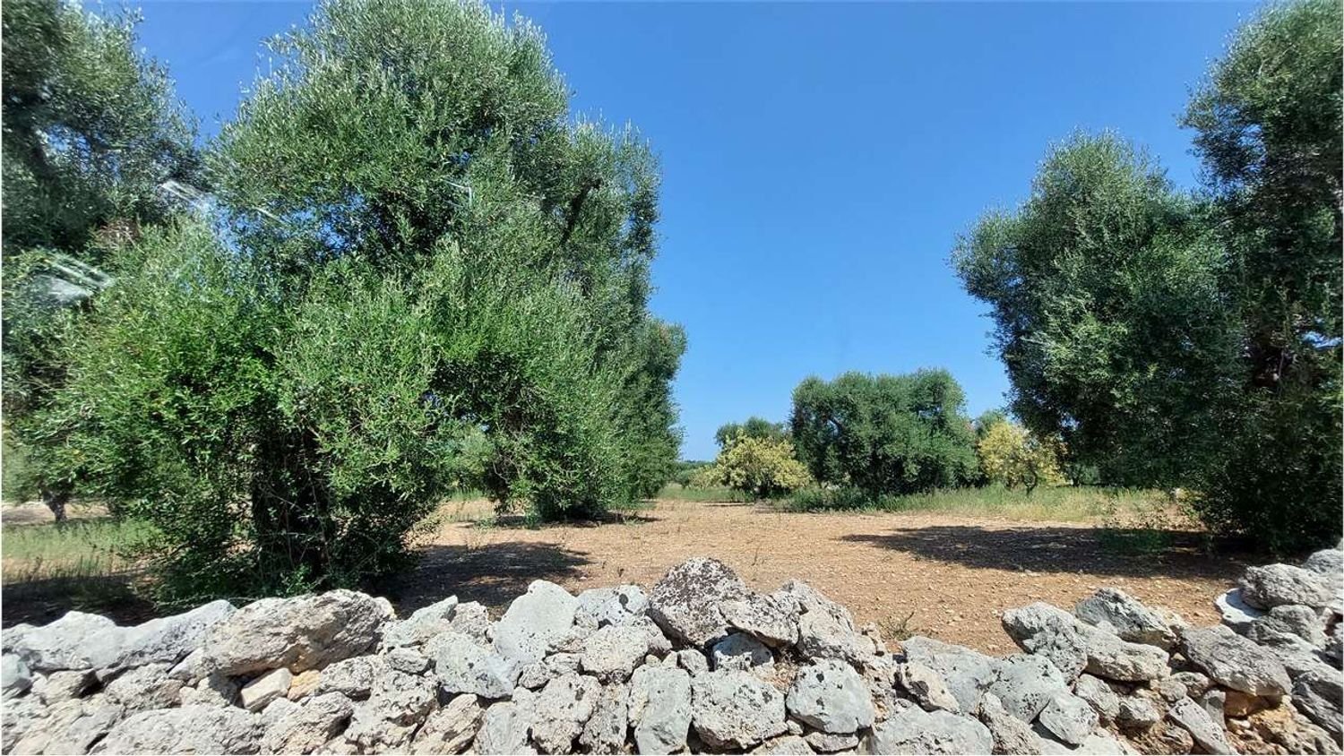 Terrain à San Vito dei Normanni, Italy 8000m² No. 107732