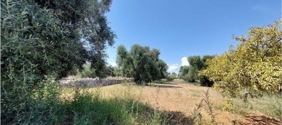 Terrain à San Vito dei Normanni, Italy 8000m² No. 107732 8