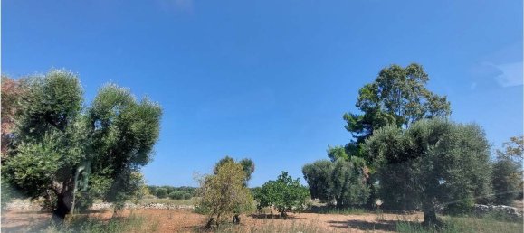 Terrain à San Vito dei Normanni, Italy 8000m² No. 107732 3