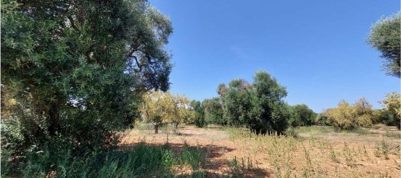 Terrain à San Vito dei Normanni, Italy 8000m² No. 107732 2