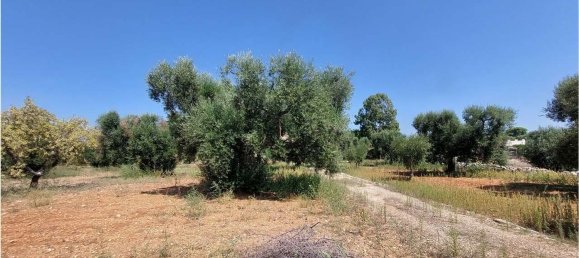 Terrain à San Vito dei Normanni, Italy 8000m² No. 107732 6