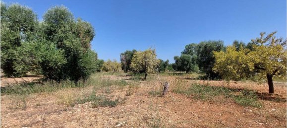 Terrain à San Vito dei Normanni, Italy 8000m² No. 107732 10