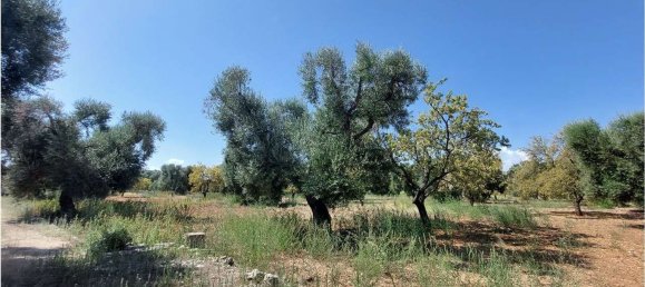 Terrain à San Vito dei Normanni, Italy 8000m² No. 107732 4