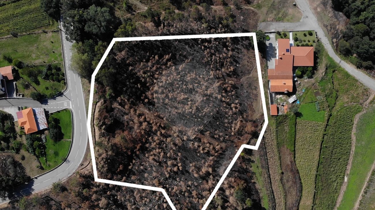 8750m² Land in Sever do Vouga, Portugal No. 76211