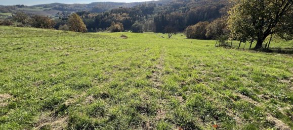 Casa de 3 divisões em Gerersdorf-Sulz, Austria N.º 66520 2