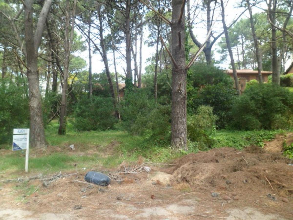 Grundstück in Mar del Plata, Argentina, Nr. 117782