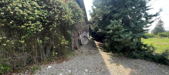1450m² Warehouse in Viguzzolo, Italy No. 264478 17