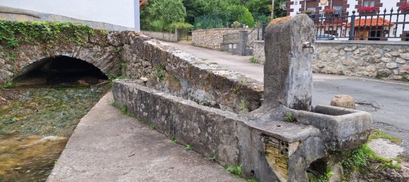 16700m² Land in Valle de Mena, Spain No. 175155 5