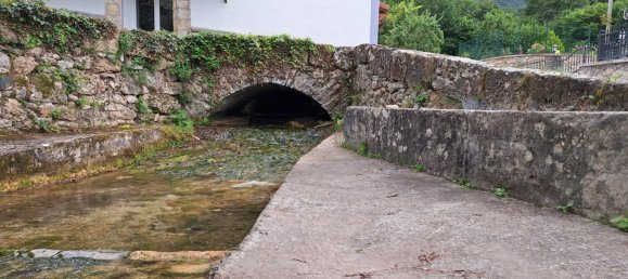 16700m² Land in Valle de Mena, Spain No. 175155 3