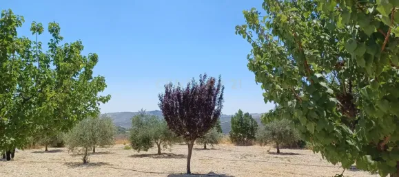 Villa de 3 dormitorios en Agios Therapon, Cyprus No. 4352 2