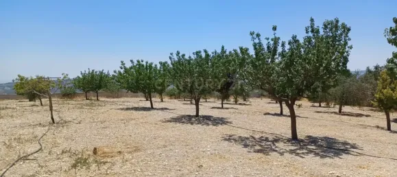 Villa de 3 dormitorios en Agios Therapon, Cyprus No. 4352 6