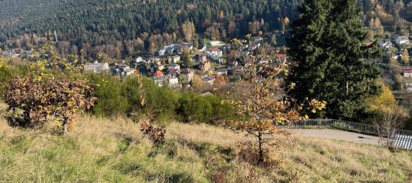  Land in Calw, Germany No. 71083 3