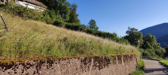  Land in Calw, Germany No. 71083 4