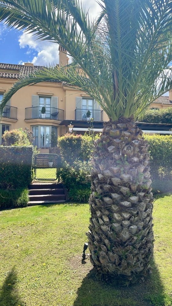 3 Schlafzimmer Stadthaus in Cadiz, Spain, Nr. 134287