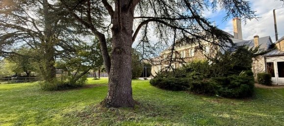 6 Schlafzimmer Schlösser in Etriche, France, Nr. 98360 3