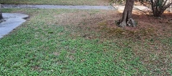 4 bedrooms Villa in Padenghe sul Garda, Italy No. 313147 19