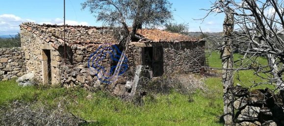 5 Schlafzimmer Gebäude in Oledo, Portugal, Nr. 74660 4