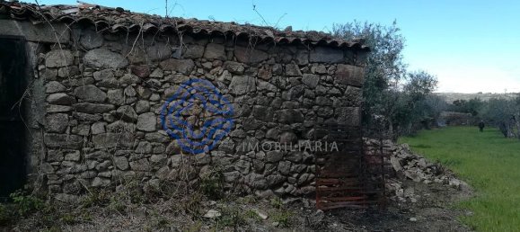 5 Schlafzimmer Gebäude in Oledo, Portugal, Nr. 74660 9