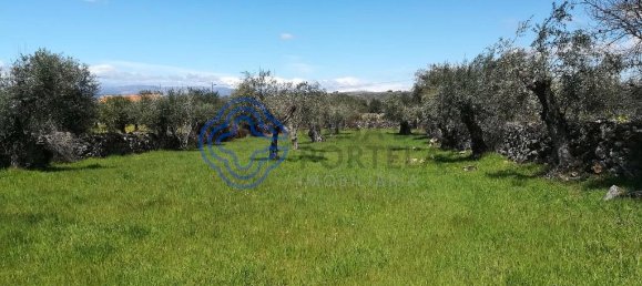 5 Schlafzimmer Gebäude in Oledo, Portugal, Nr. 74660 8