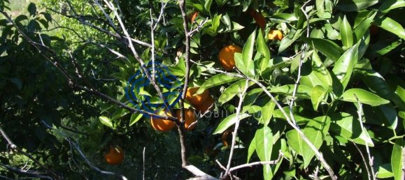 5 Schlafzimmer Gebäude in Oledo, Portugal, Nr. 74660 10